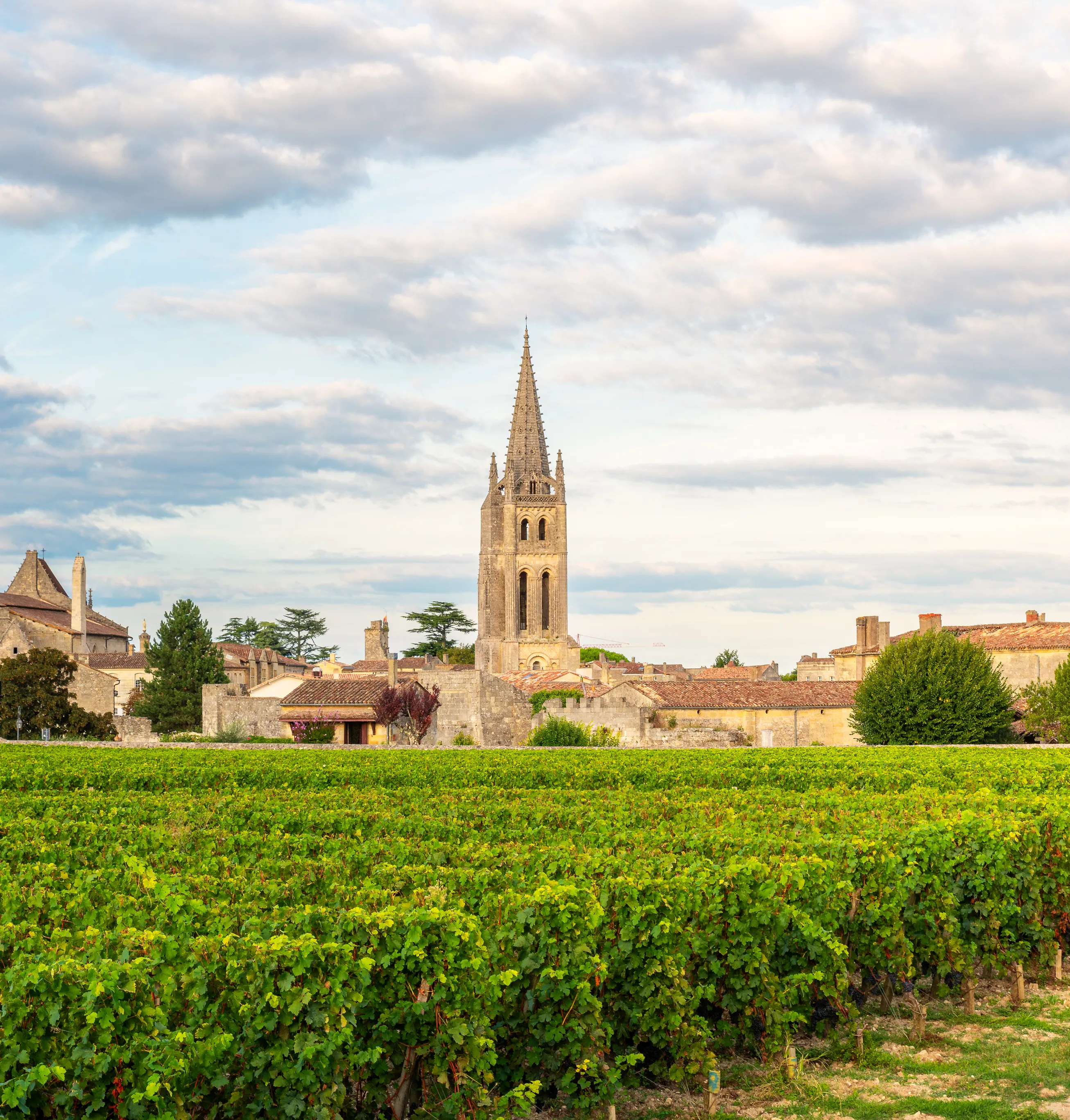 Paysage viticole de Saint-Émilion